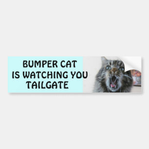 Bumper Cat is watching TAILGATE 7 Bumper Sticker