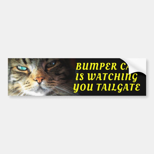 Bumper Cat is watching TAILGATE Oleo Font Sticker (Front)