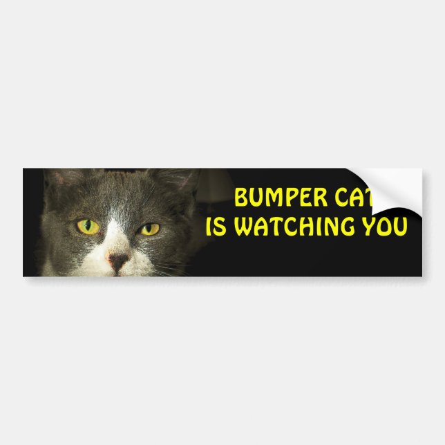 Bumper Cat is watching you 3 Bumper Sticker (Front)