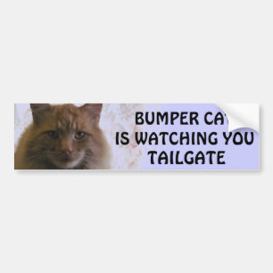 Bumper Cat is watching You TAILGATE 11 Bumper Sticker