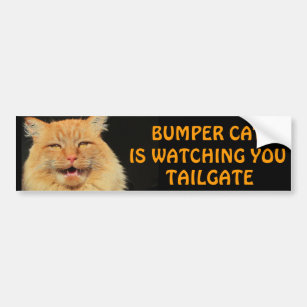 Bumper Cat is watching you TAILGATE 13 Meme Bumper Sticker