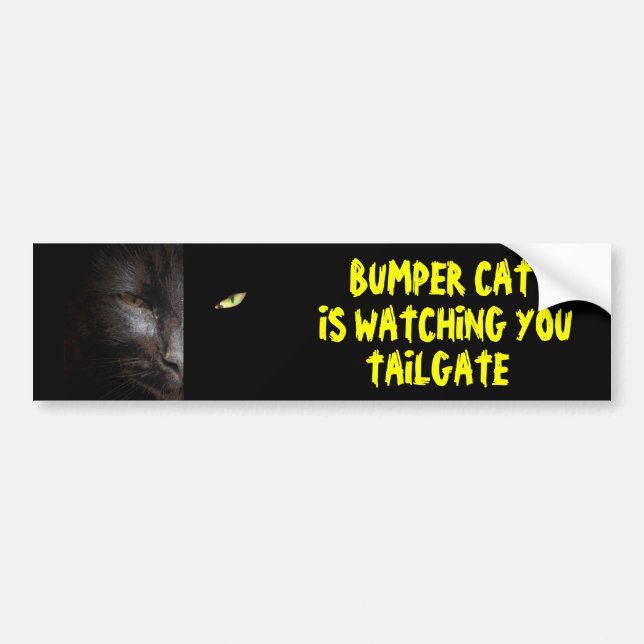 Bumper Cat is Watching You Tailgate 37 Bumper Sticker (Front)