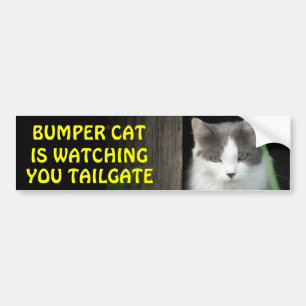 Bumper Cat is Watching You TAILGATE 4 Bumper Sticker
