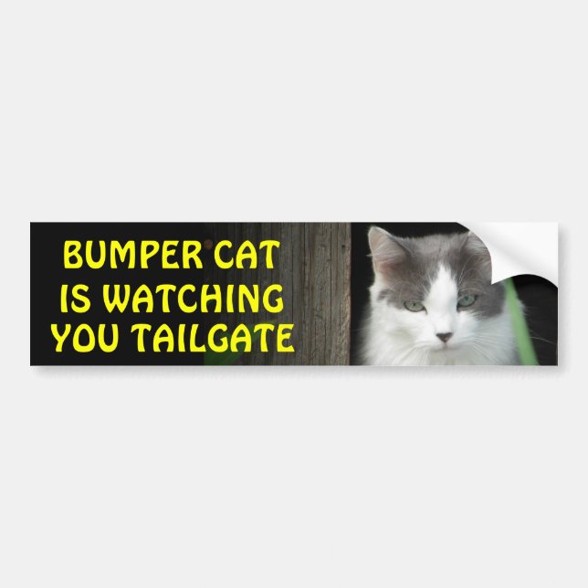 Bumper Cat is Watching You TAILGATE 4 Bumper Sticker (Front)