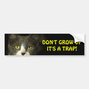 Bumper Cat Says Don't Grow Up Meme Bumper Sticker