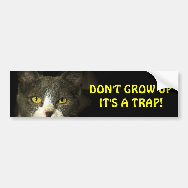 Bumper Cat Says Don't Grow Up Meme Bumper Sticker (Front)