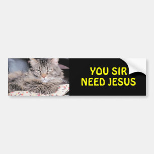 Bumper Cat Says, You Sir Need Jesus Sticker