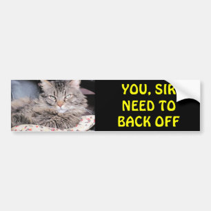 Bumper Cat Says, You Sir Need To Back Off Sticker