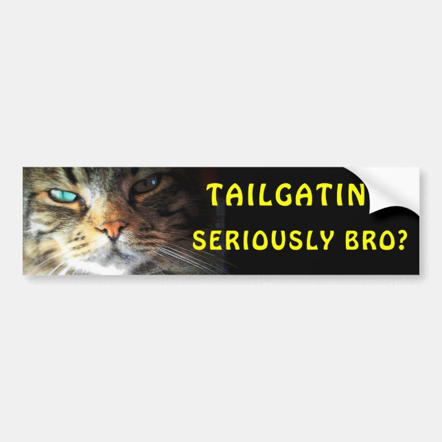 Bumper Cat: Tailgating? Seriously Bro? Meme Bumper Sticker (Front)