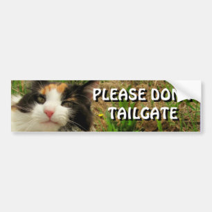 Bumper Cat Wants You To Back Off Meme Bumper Sticker