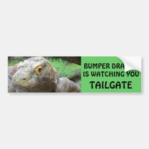Bumper Dragon is Watching You TAILGATE Sticker