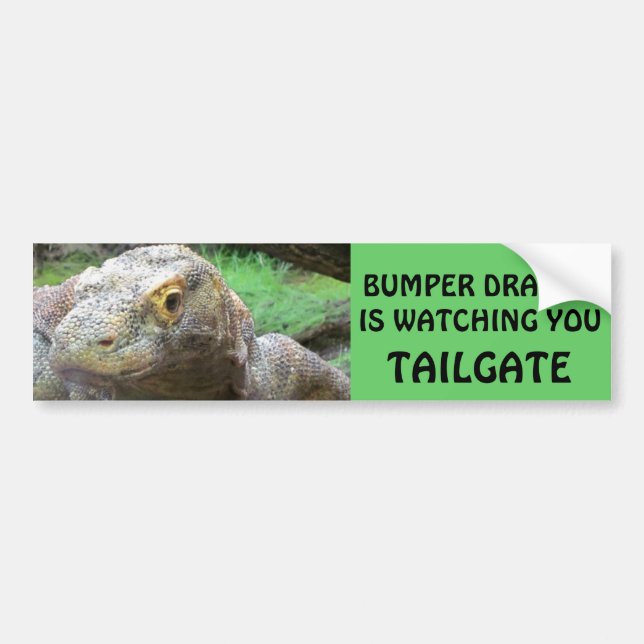 Bumper Dragon is Watching You TAILGATE Sticker (Front)