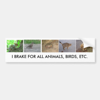 Bumper Sticker