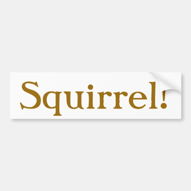 Bumper Sticker (Front)