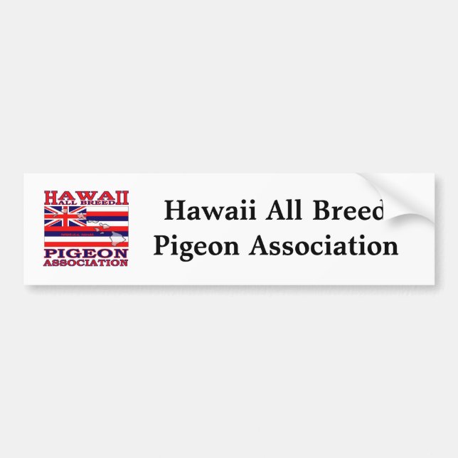 Bumper Sticker (Front)