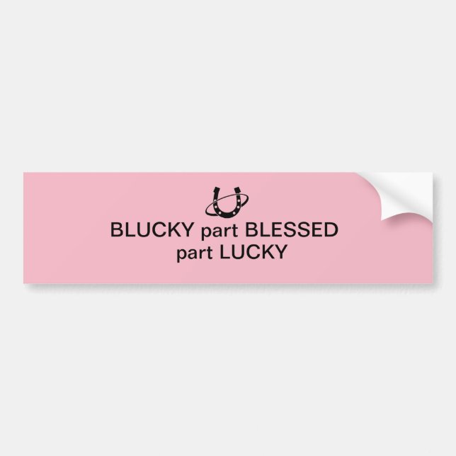 Bumper Sticker (Front)