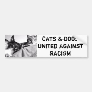 bumper sticker