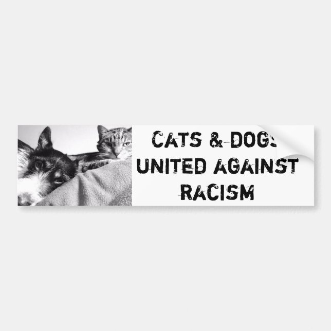 bumper sticker (Front)
