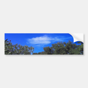 Bumper Sticker