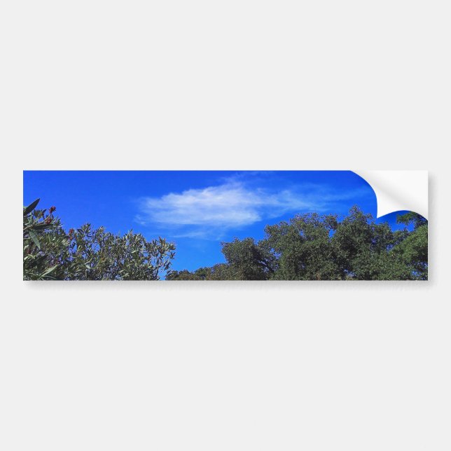 Bumper Sticker (Front)