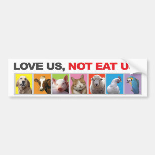 bumper, sticker,animals, vegetarian,love bumper sticker