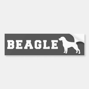 Bumper sticker Beagle - Grey