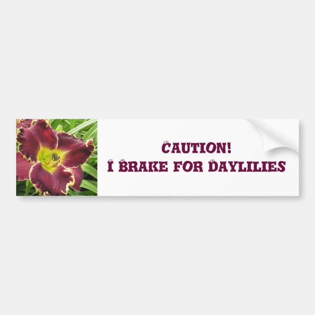 Bumper Sticker Brake for Daylilies (Front)