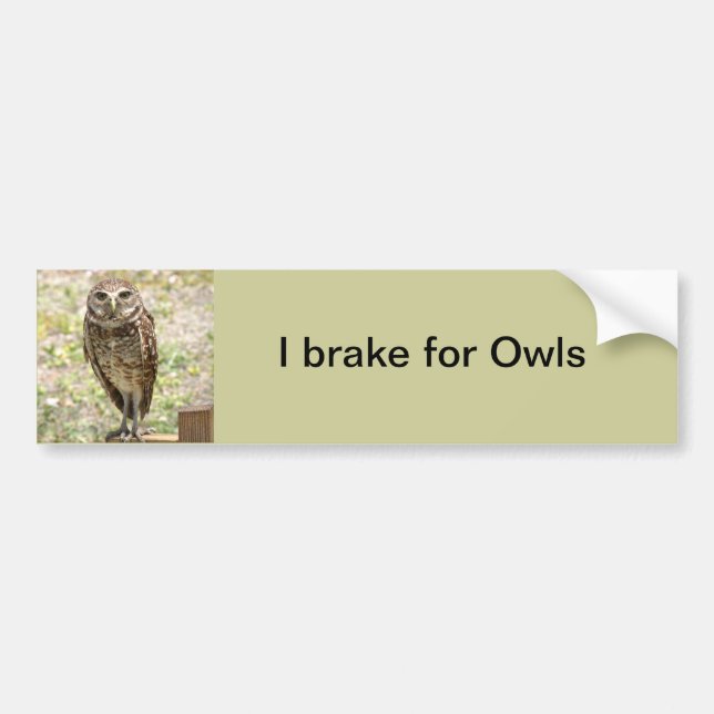 Bumper Sticker, Brake for Owls, Burrowing Owl Sticker (Front)