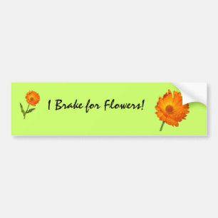 Bumper Sticker - Calendula on stem