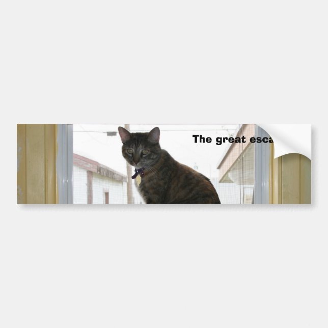 Bumper Sticker, Calico Cat Sticker (Front)