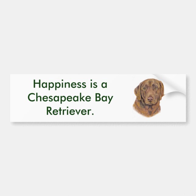 Bumper Sticker : chesapeake Bay Retriever (Front)