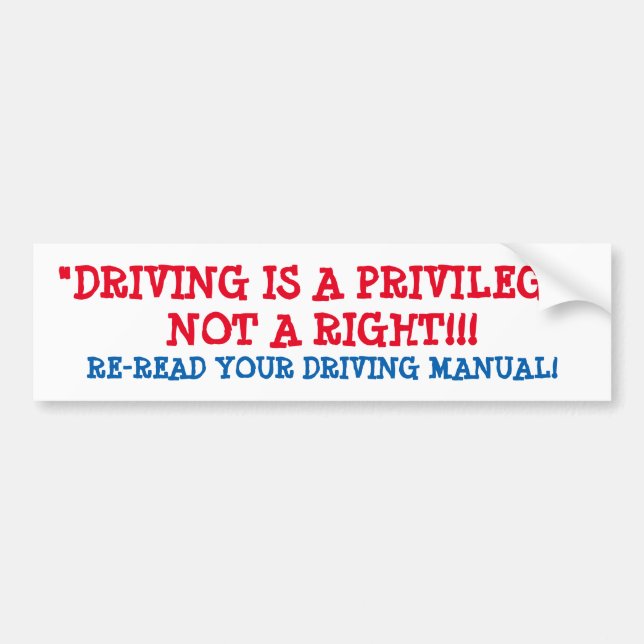 BUMPER STICKER "DRIVING IS A PRIVILEGE" STUPID!! (Front)