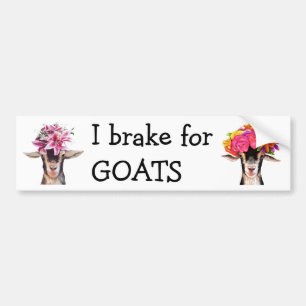 Bumper Sticker - I Brake For GOATS