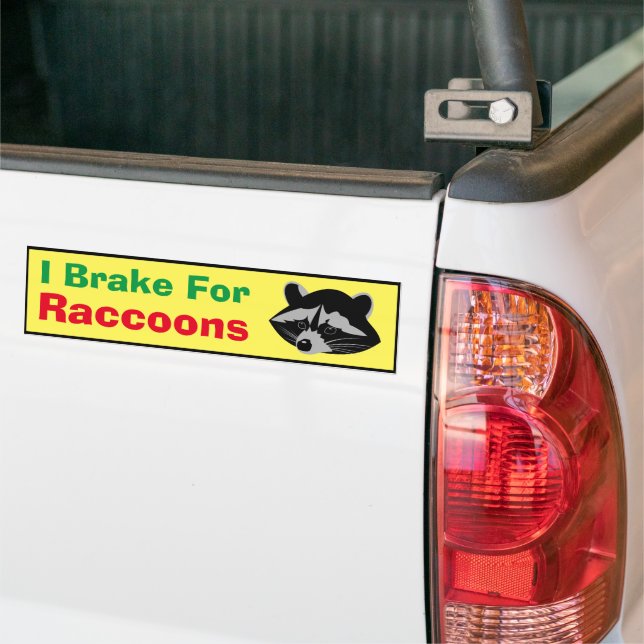 Bumper Sticker - I Brake For Raccoons (On Truck)