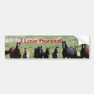 Bumper Sticker - I Love Horses!