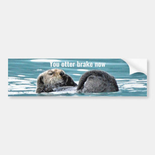 Bumper Sticker of otter
