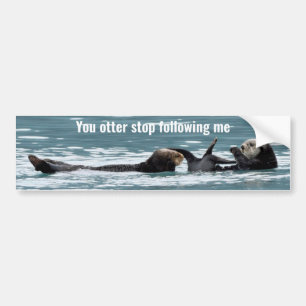 Bumper Sticker of otters