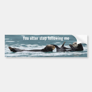 Bumper Sticker of otters