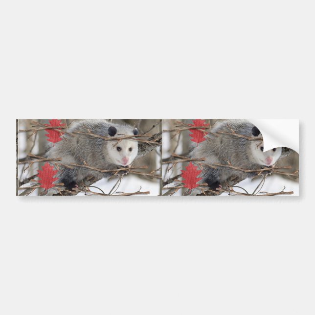 Bumper Sticker Opossum (Front)