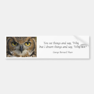 Bumper Sticker - Owls Eyes with quote