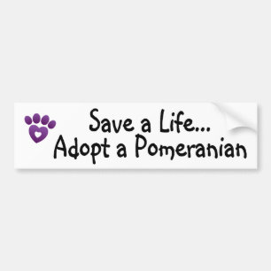 Bumper Sticker - Save A Pomeranian