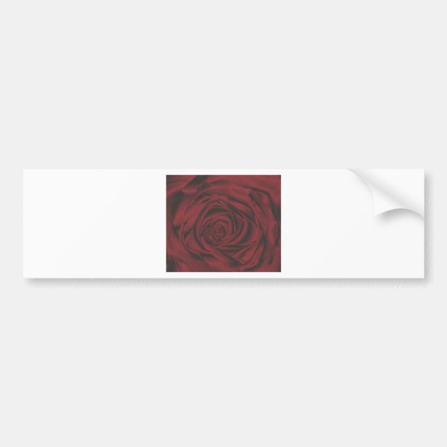 Bumper Stickers (Front)