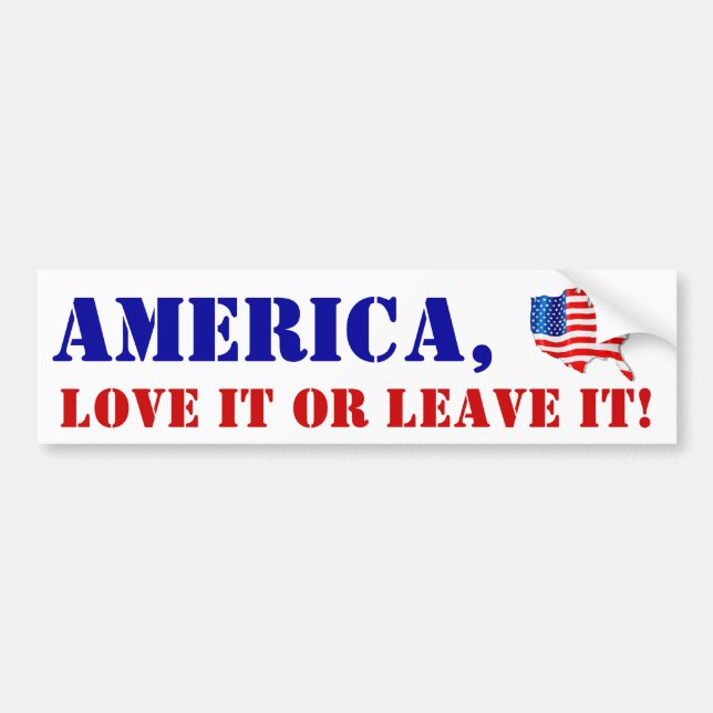 Bumper Stickers Flag America Love it or Leave it (Front)