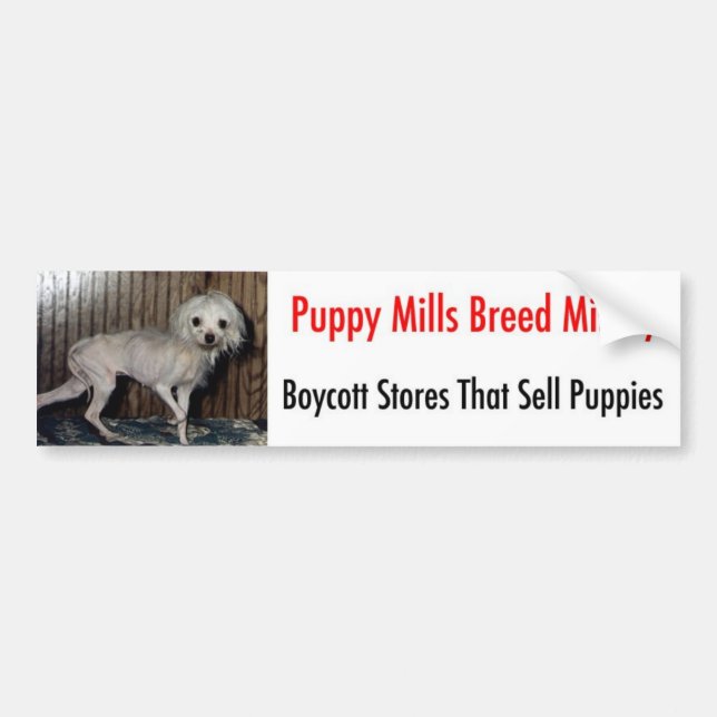 Bumpersticker Bumper Sticker (Front)
