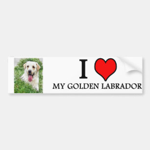 bumpersticker GOLDEN LABRADOR Bumper Sticker