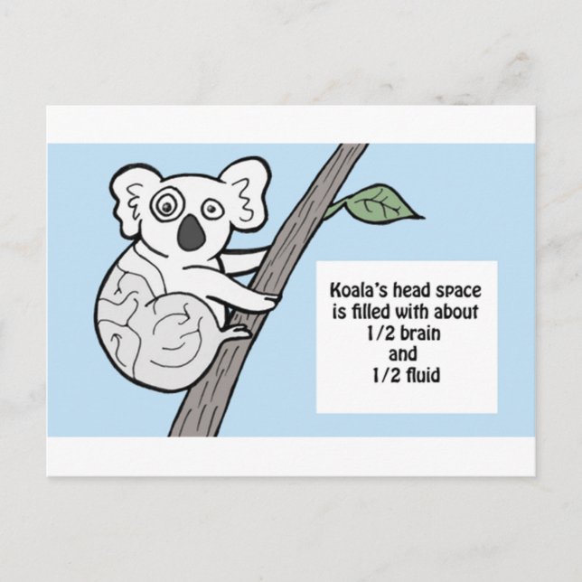 Bumpy Brains Koala Postcard (Front)