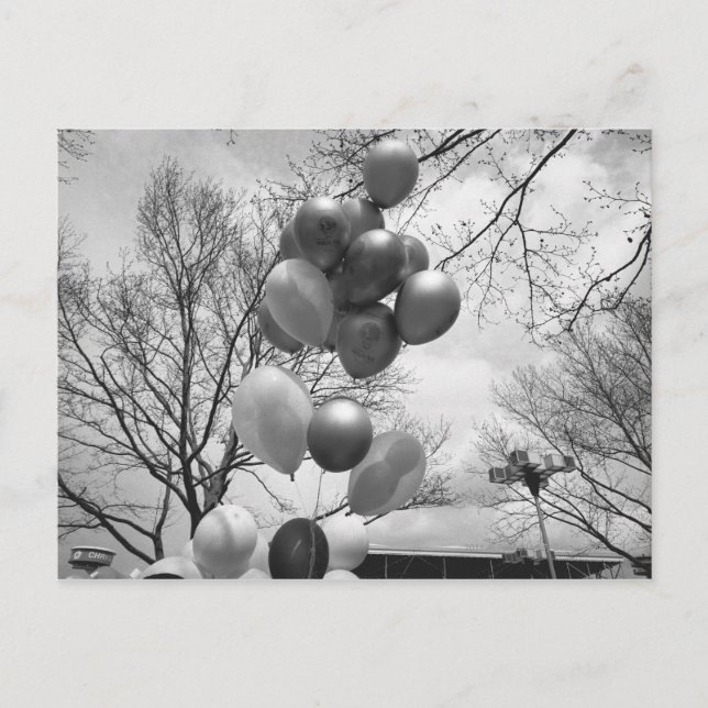 Bunch of balloons outdoors B&W low angle Postcard (Front)