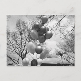 Bunch of balloons outdoors B&W low angle Postcard