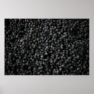 Bunch of black beans poster