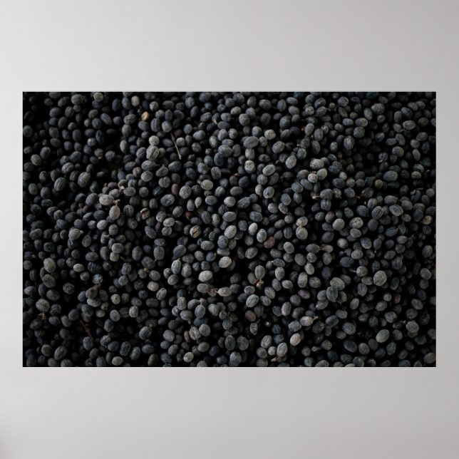 Bunch of black beans poster (Front)